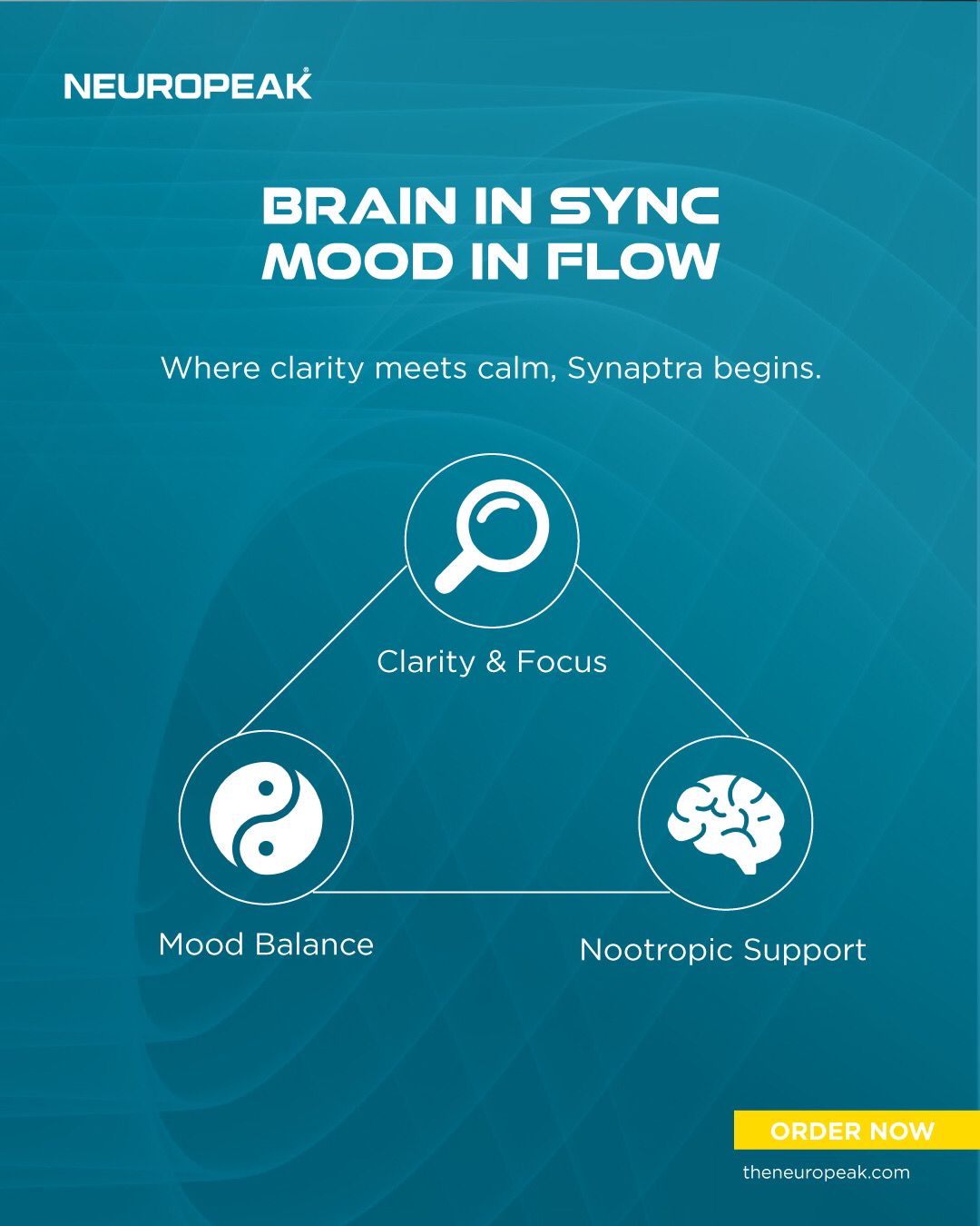 Neuropeak Performance Pack (Zynkra + Synaptra): Focus & Energy Support Bundle
